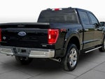 2022 F-150 Thumbnail 13