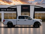 2023 F-150 Thumbnail 8