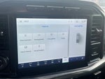 2023 F-150 Thumbnail 13