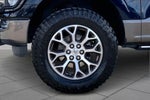2023 F-150 Thumbnail 10