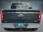 2023 F-150 Thumbnail 7
