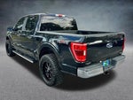 2023 F-150 Thumbnail 8