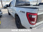 2023 F-150 Thumbnail 4