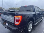 2023 F-150 Thumbnail 5