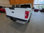 2023 F-150 Thumbnail 8