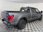 2023 F-150 Thumbnail 7
