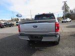 2023 F-150 Thumbnail 7