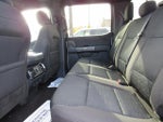2023 F-150 Thumbnail 17
