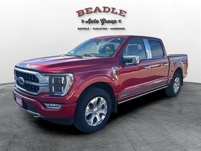 2023 Ford F-150 4X4 Platinum 4DR Supercrew 6.5 FT. SB
