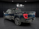 2023 F-150 Thumbnail 4