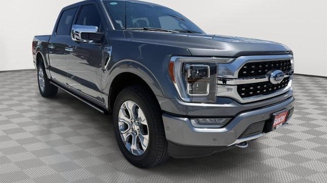 Preowned 2023 Ford F-150 Platinum for Sale
