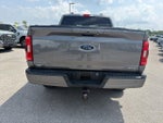 2023 F-150 Thumbnail 6
