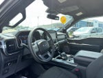 2023 F-150 Thumbnail 10