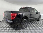 2023 F-150 Thumbnail 3