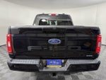2023 F-150 Thumbnail 4