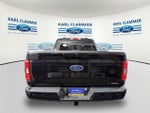 2023 F-150 Thumbnail 4
