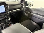2023 F-150 Thumbnail 14