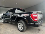 2023 F-150 Thumbnail 6