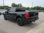 2023 F-150 Thumbnail 6