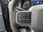 2023 F-150 Thumbnail 19