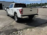 2023 F-150 Thumbnail 5