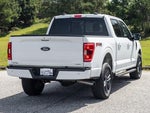 2023 F-150 Thumbnail 6