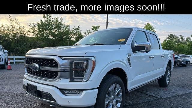 Preowned 2023 Ford F-150 Platinum for Sale