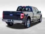 2023 F-150 Thumbnail 9