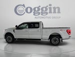 2023 F-150 Thumbnail 2