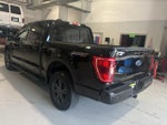 2023 F-150 Thumbnail 7