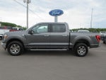 2023 F-150 Thumbnail 1