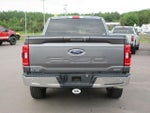 2023 F-150 Thumbnail 6