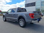 2023 F-150 Thumbnail 4