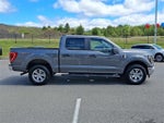 2023 F-150 Thumbnail 7