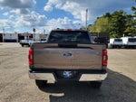 2023 F-150 Thumbnail 7