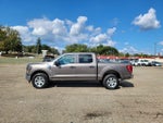 2023 F-150 Thumbnail 9