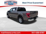 2023 F-150 Thumbnail 6