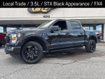 2023 F-150 Thumbnail 1