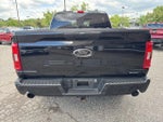 2023 F-150 Thumbnail 8