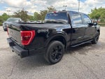 2023 F-150 Thumbnail 9