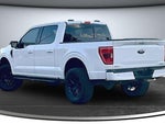 2023 F-150 Thumbnail 4