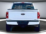 2023 F-150 Thumbnail 5