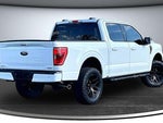 2023 F-150 Thumbnail 6