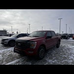 2023 F-150 Thumbnail 4