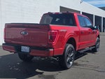 2023 F-150 Thumbnail 8