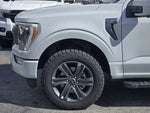 2023 F-150 Thumbnail 8