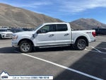 2023 F-150 Thumbnail 4