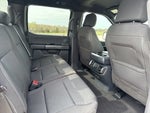 2023 F-150 Thumbnail 24