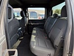 2023 F-150 Thumbnail 13