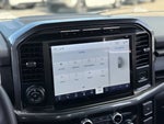 2023 F-150 Thumbnail 20